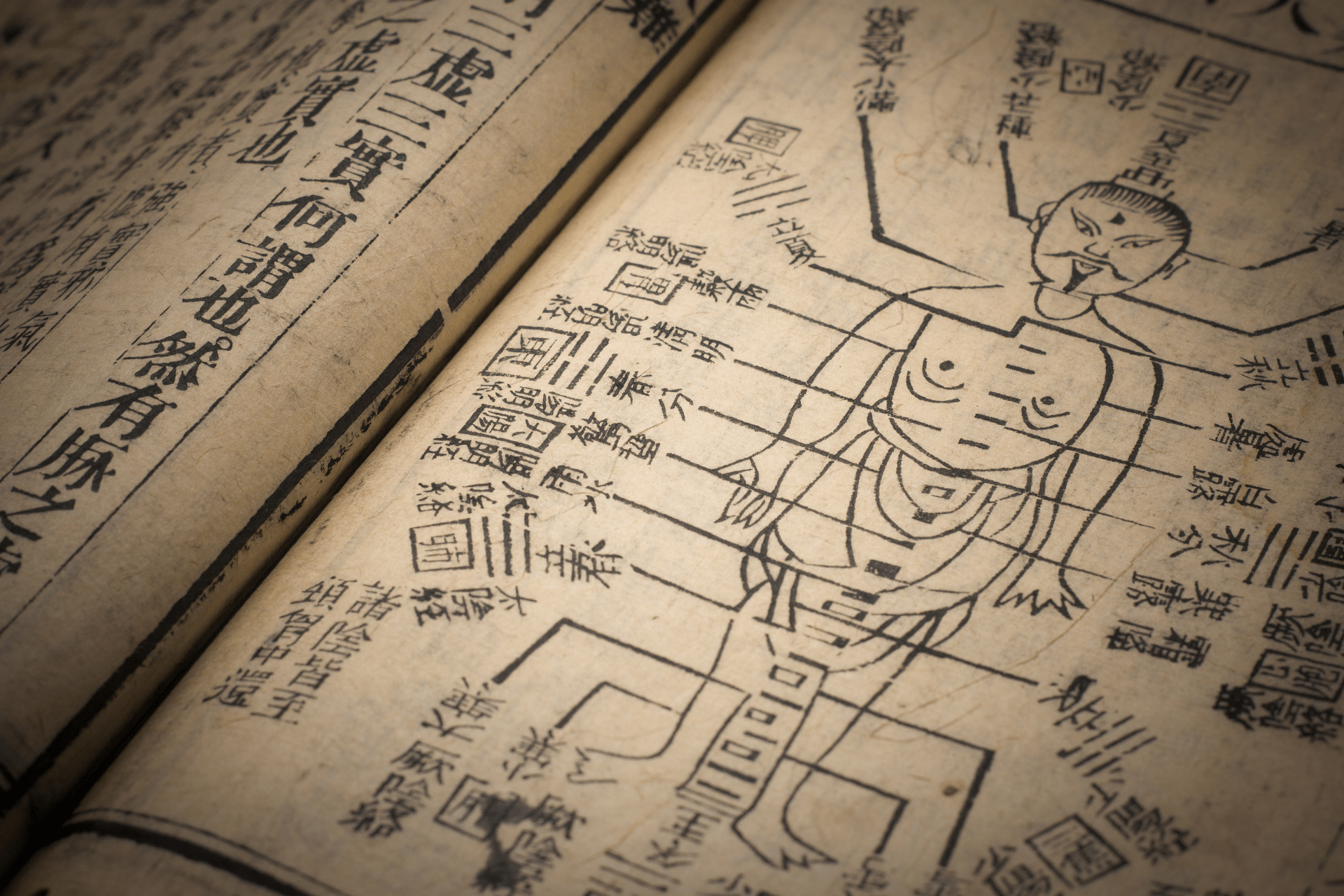 Die Schröpfkopfmassage gehört zu den traditionellen ausleitenden Therapieverfahren, hat Wurzeln in verschiedenen alten Kulturen, insbesondere in der Traditionellen Chinesischen Medizin