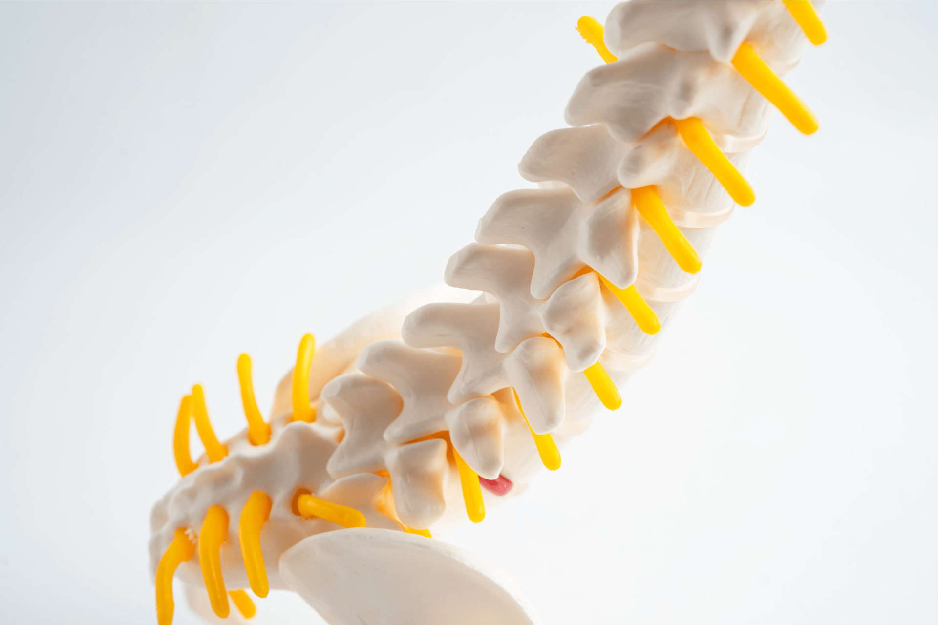 Ganzheitliche Gesundheit beginnt im Zusammenspiel vieler Systeme Unser Körper arbeitet nicht in einzelnen Bereichen getrennt voneinander.